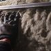 insulation